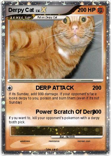Pokemon Derpy Cat