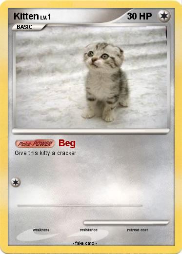 Pokemon Kitten