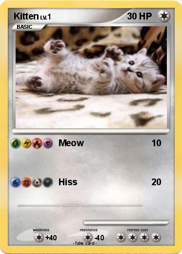 Pokemon Kitten