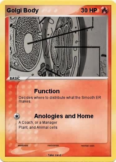 Pokemon Golgi Body