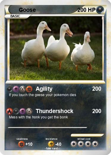 Pokemon Goose