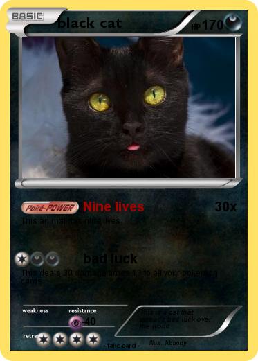 Pokemon black cat