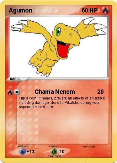 Pokemon Agumon
