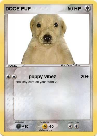 Pokemon DOGE PUP