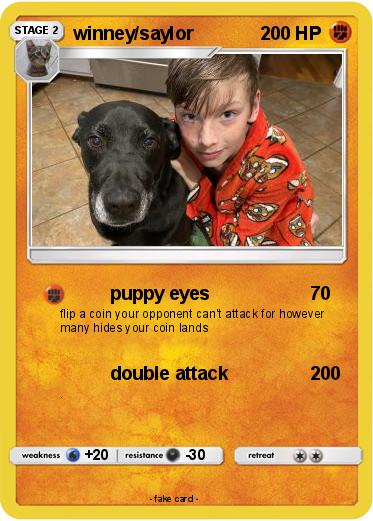 Pokemon winney/saylor