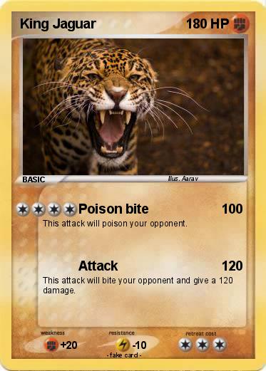 Pokemon King Jaguar