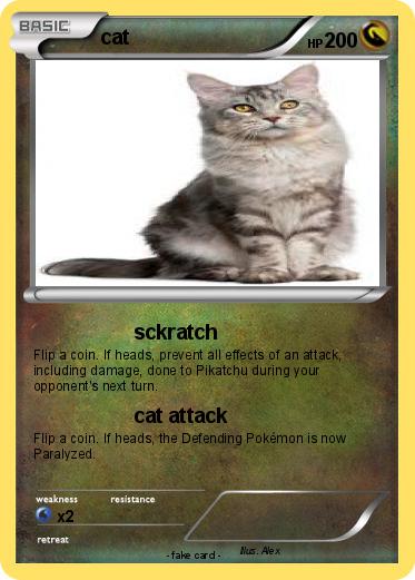 Pokemon cat