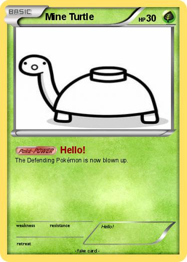 Pokemon Mine Turtle