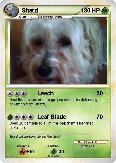 Pokemon Shatzi