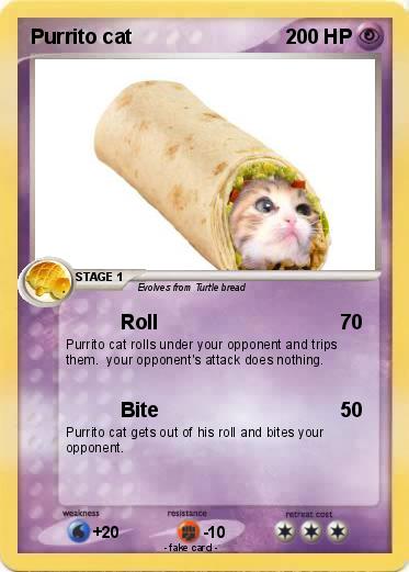 Pokemon Purrito cat