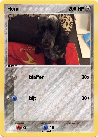 Pokemon Hond