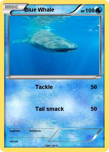Pokemon Blue Whale