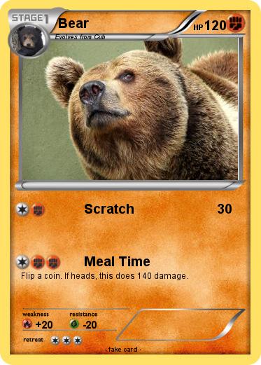 Pokemon Bear
