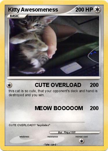Pokemon Kitty Awesomeness