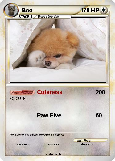 Pokemon Boo