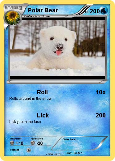 Pokemon Polar Bear