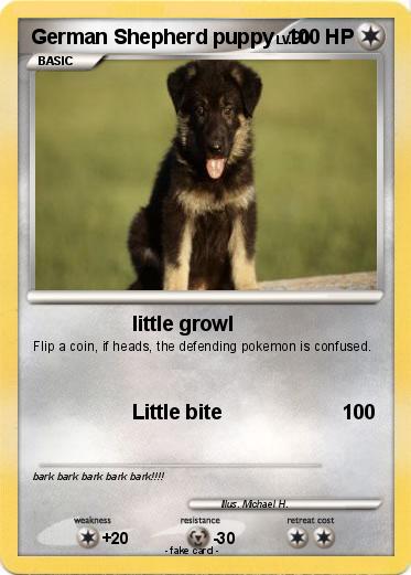 Pokemon German Shepherd puppy