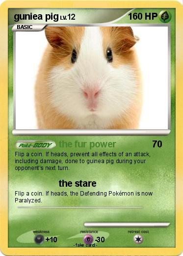 Pokemon guniea pig