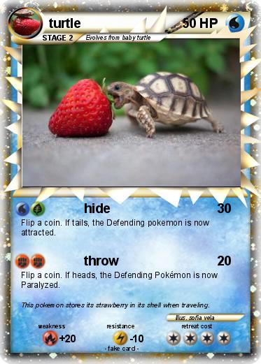 Pokemon turtle