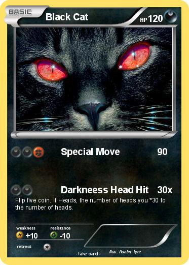 Pokemon Black Cat