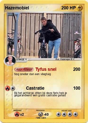 Pokemon Hazemobiel