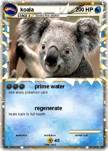 Pokemon koala