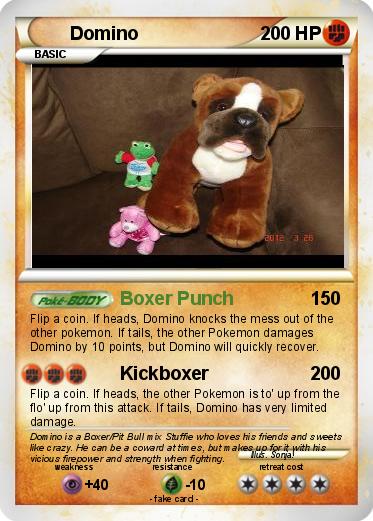 Pokemon Domino