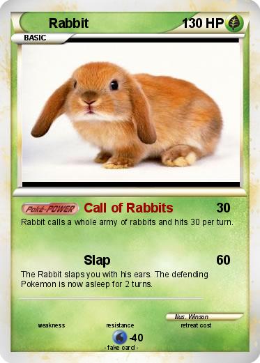 Pokemon Rabbit