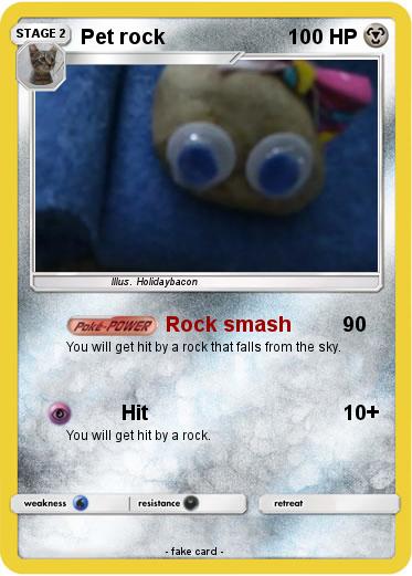 Pokemon Pet rock