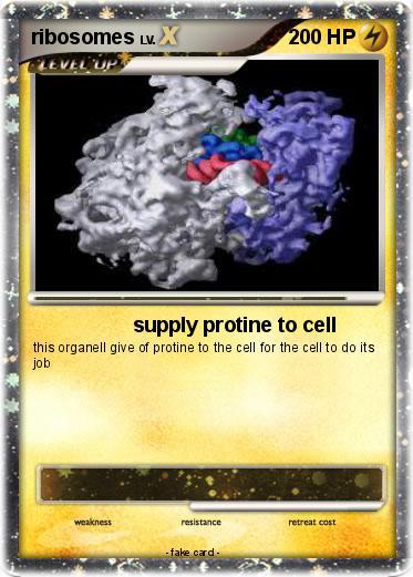 Pokemon ribosomes