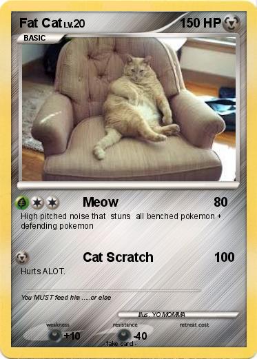 Pokemon Fat Cat