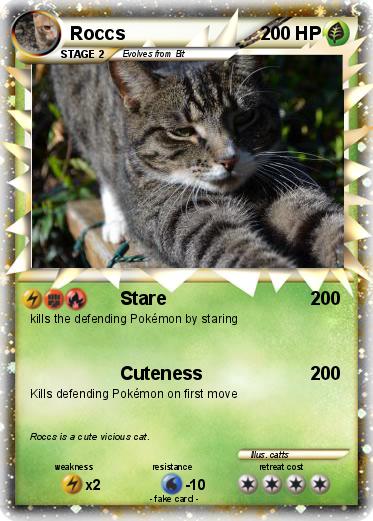 Pokemon Roccs