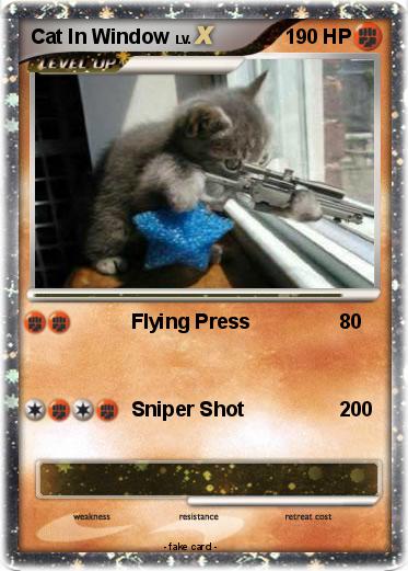 Pokemon Cat In Window
