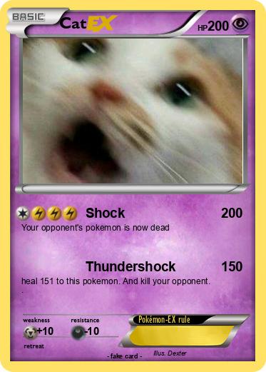 Pokemon Cat