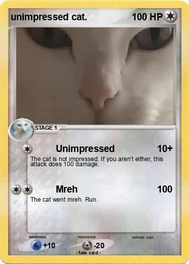 Pokemon unimpressed cat.