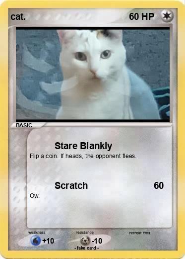 Pokemon cat.