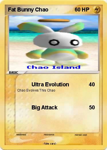 Pokemon Fat Bunny Chao