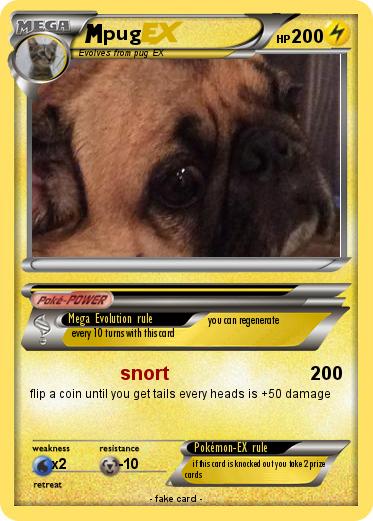 Pokemon pug