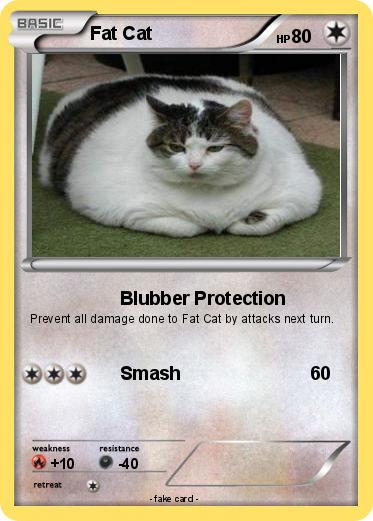 Pokemon Fat Cat