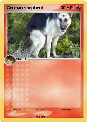Pokemon German shepherd