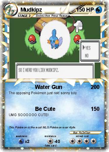 Pokemon Mudkipz