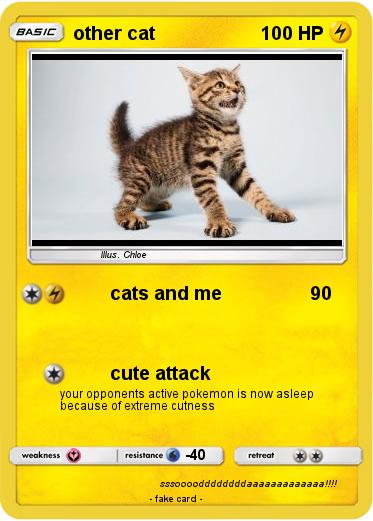 Pokemon other cat
