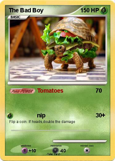 Pokemon The Bad Boy