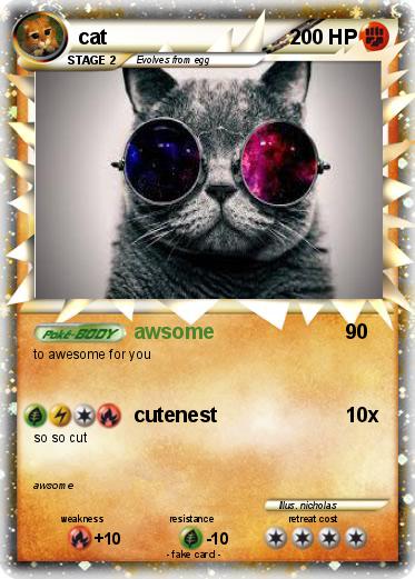 Pokemon cat