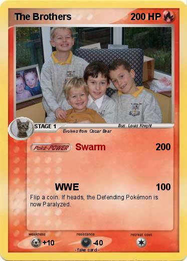 Pokemon The Brothers