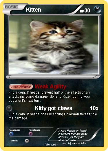 Pokemon Kitten