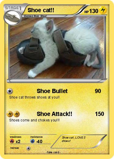 Pokemon Shoe cat!!