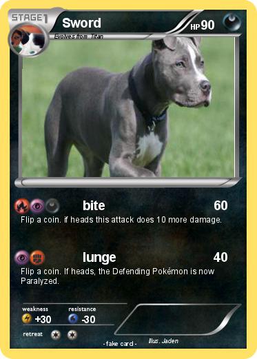 Pokemon Sword