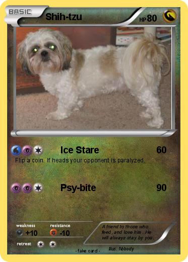 Pokemon Shih-tzu