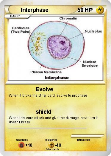 Pokemon Interphase